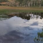 Upper land pond scene